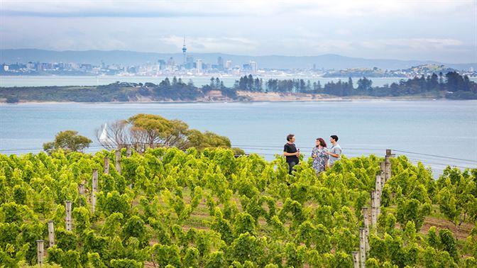 Waiheke Island Winery