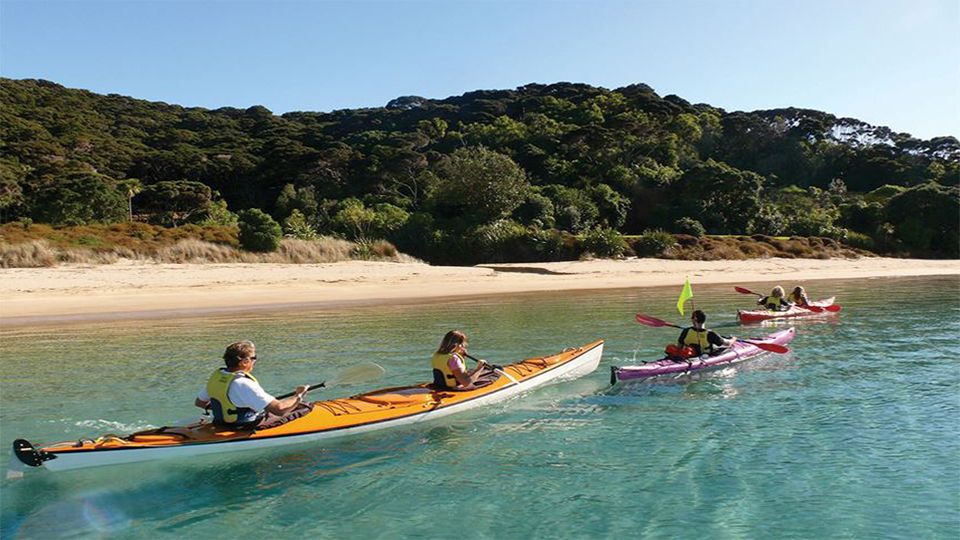 8 Day Top of the South island